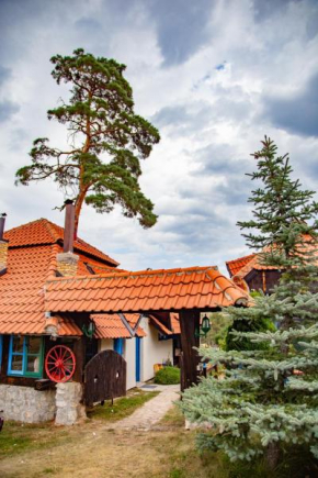 U Drvo Zlatibor - Vodice